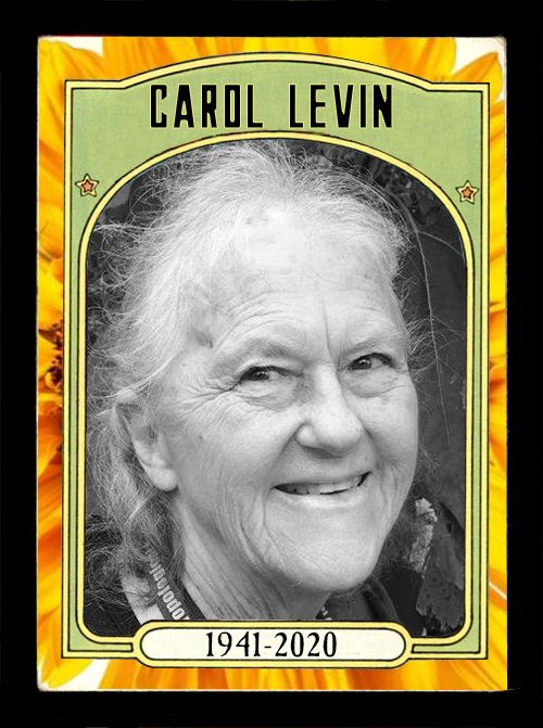 Carol Levin, Superhero