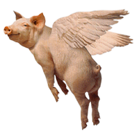 Yes! Pigs DO Fly!