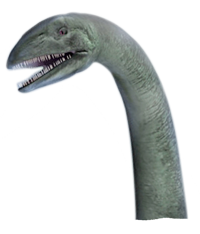 Nessie